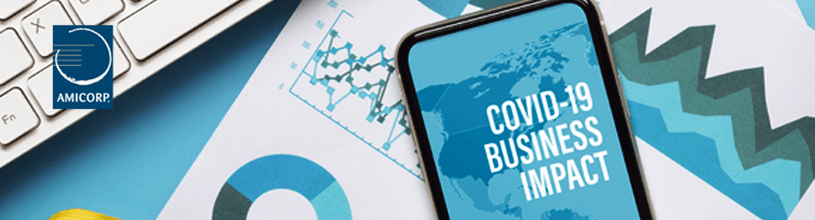 Business Continuity During the Pandemic es